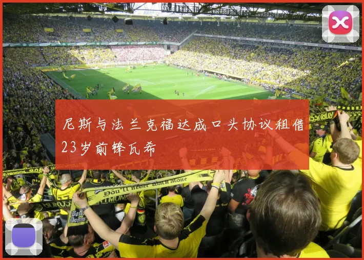 尼斯与法兰克福达成口头协议租借23岁前锋瓦希